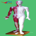 ISO Human Acupuncture Model(Male)178CM,14 Channel, HR-501